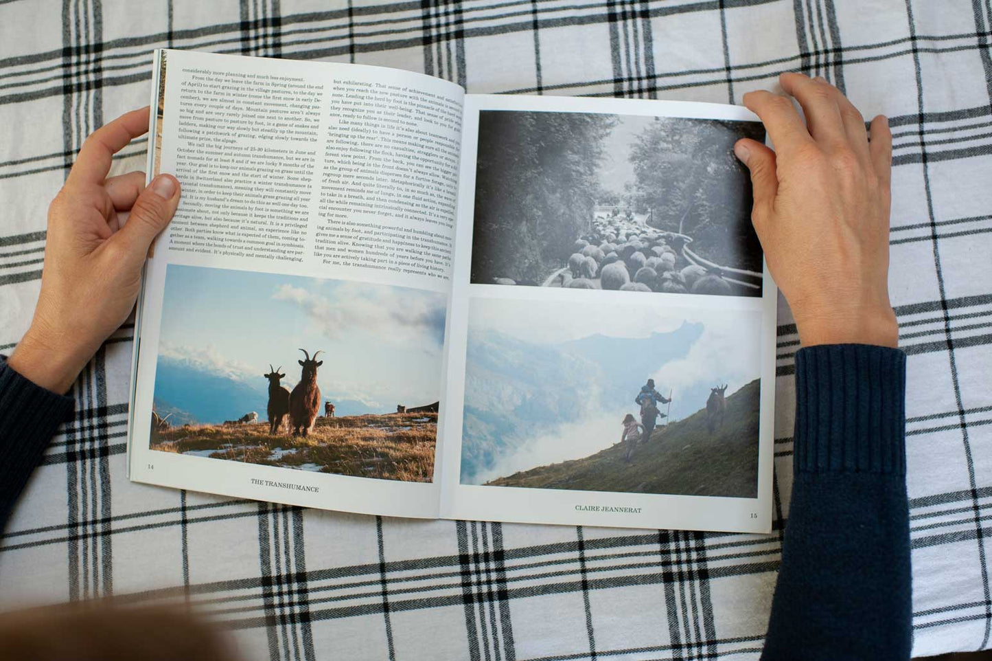 Fall / Winter 23' Magazine (Physical Copy)