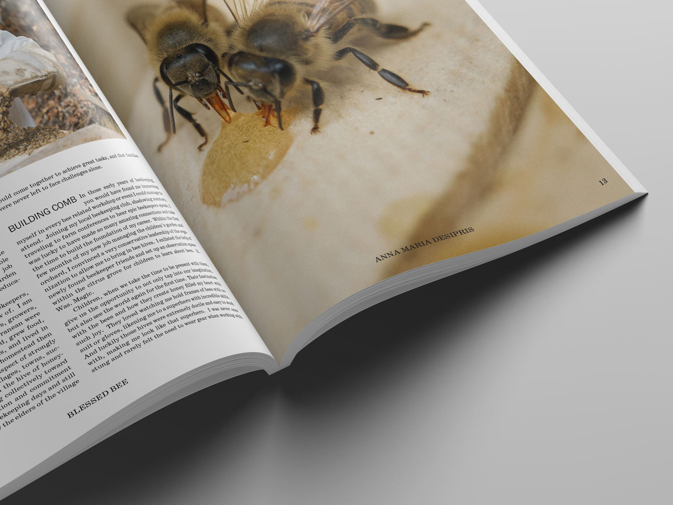 Spring/Summer 23' Magazine (Physical Copy)