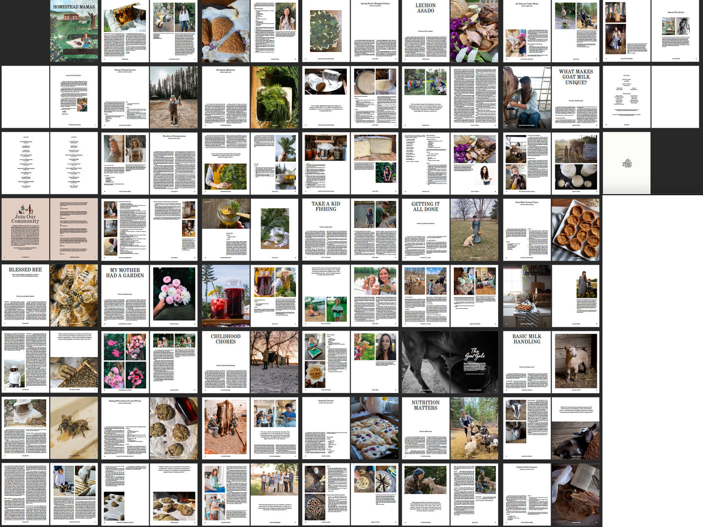 Spring/Summer 23' Magazine (Digital Copy)